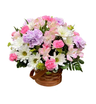 {{brizy_dc_image_alt imageSrc=